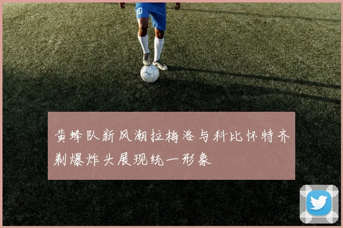 黄蜂队新风潮拉梅洛与科比怀特齐剃爆炸头展现统一形象